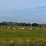 Auszeit An Der Ueselitzer Wiek 別荘 *