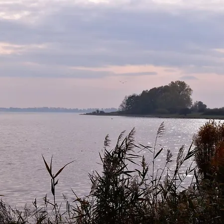 Auszeit An Der Ueselitzer Wiek 別荘 *